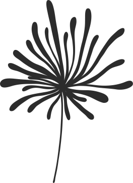 Connect with Providers